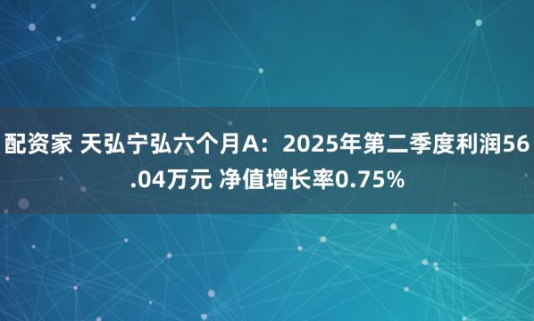 配资家 天弘宁弘六个月A：2025年第二季度利润56.04万元 净值增长率0.75%
