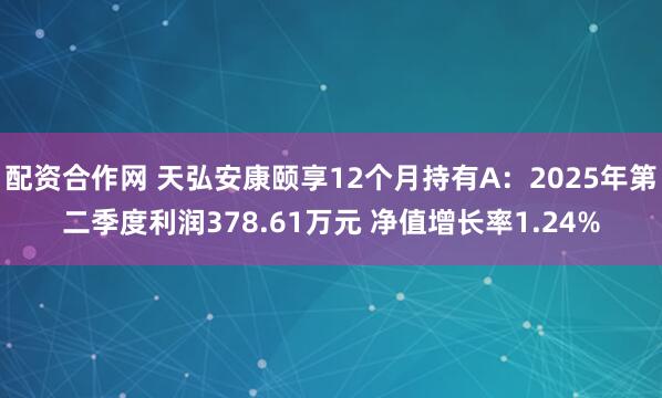配资合作网 天弘安康颐享12个月持有A：2025年第二季度利润378.61万元 净值增长率1.24%