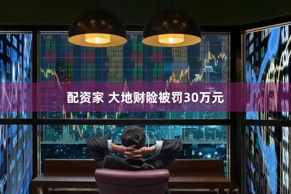 配资家 大地财险被罚30万元