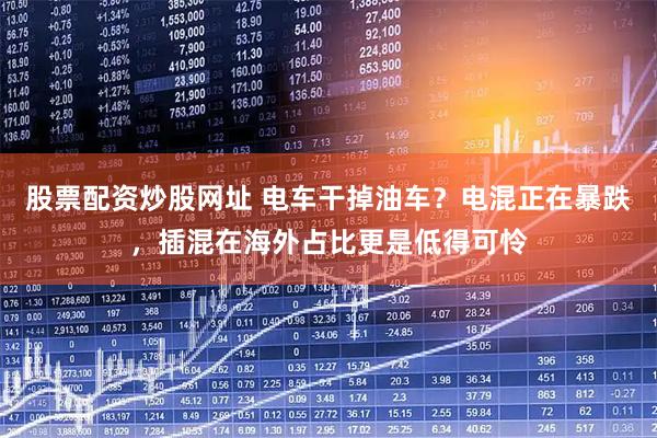 股票配资炒股网址 电车干掉油车？电混正在暴跌，插混在海外占比更是低得可怜